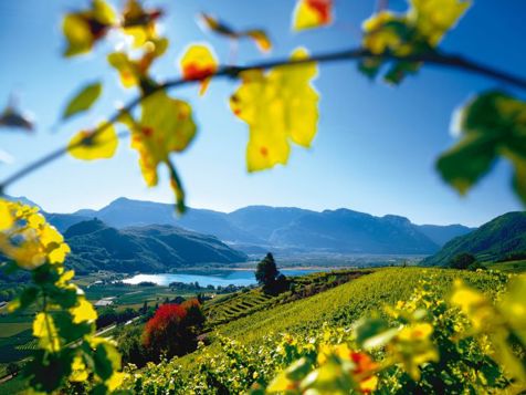 Il piacere dell' autunno 8=7!