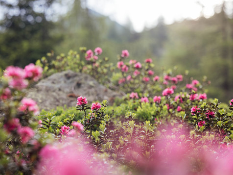 June Special 7=6 - June Special 7=6