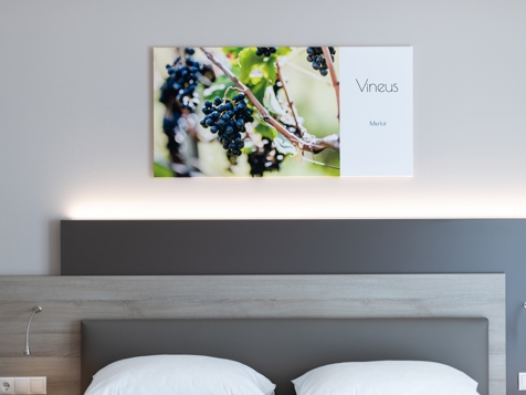 Junior Suite Merlot image 1