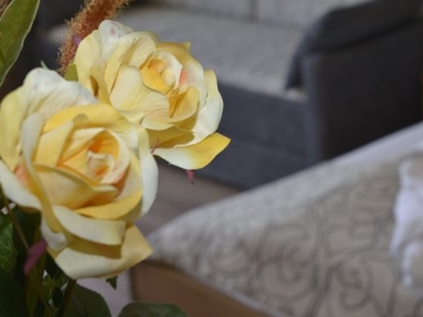 Juniorsuite Seerose image 3