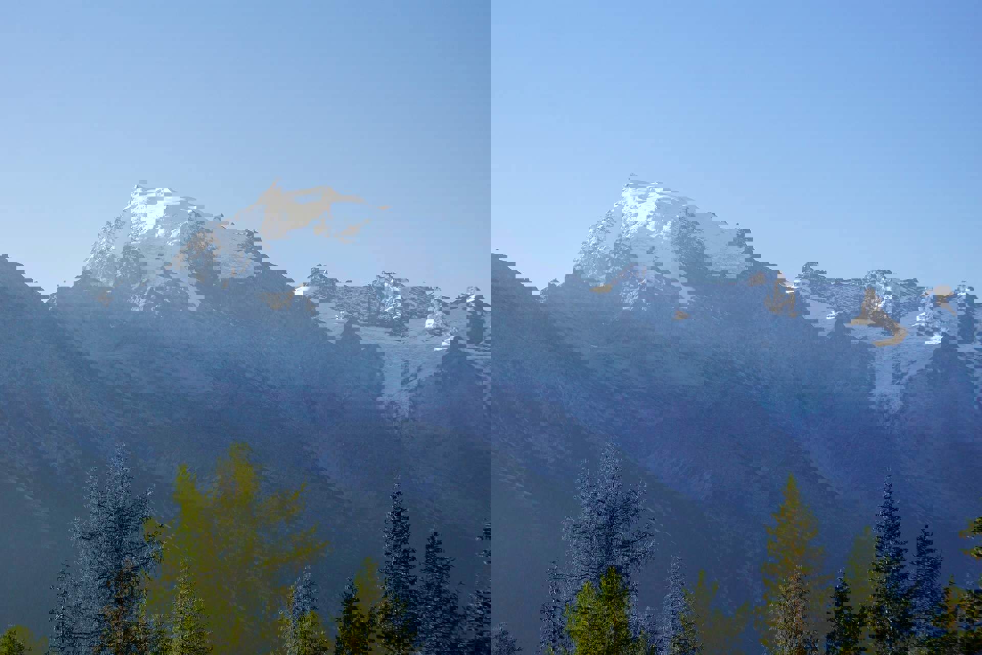 King Ortler King Ortler