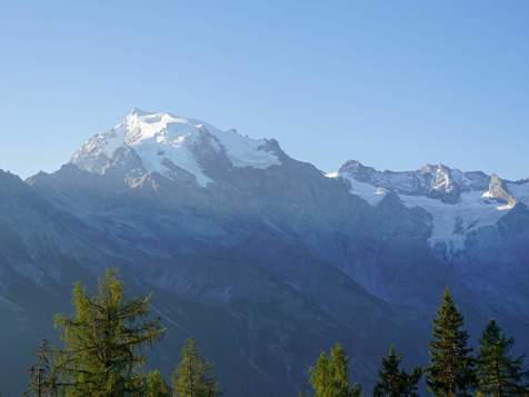 König Ortler