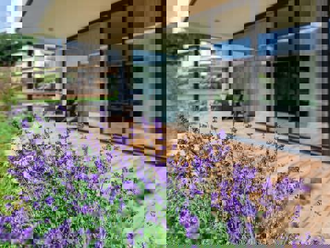 L‘appartamento KALK con sauna privata a infrarossi image 6