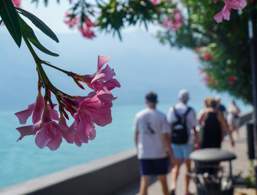 Limone sul Garda