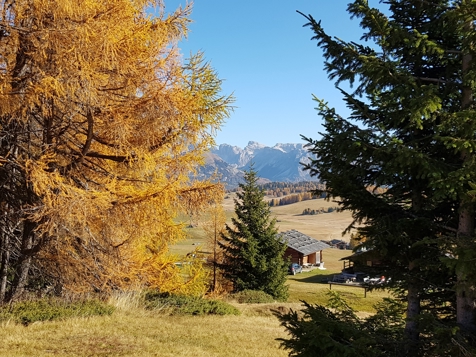 Magic Autumn