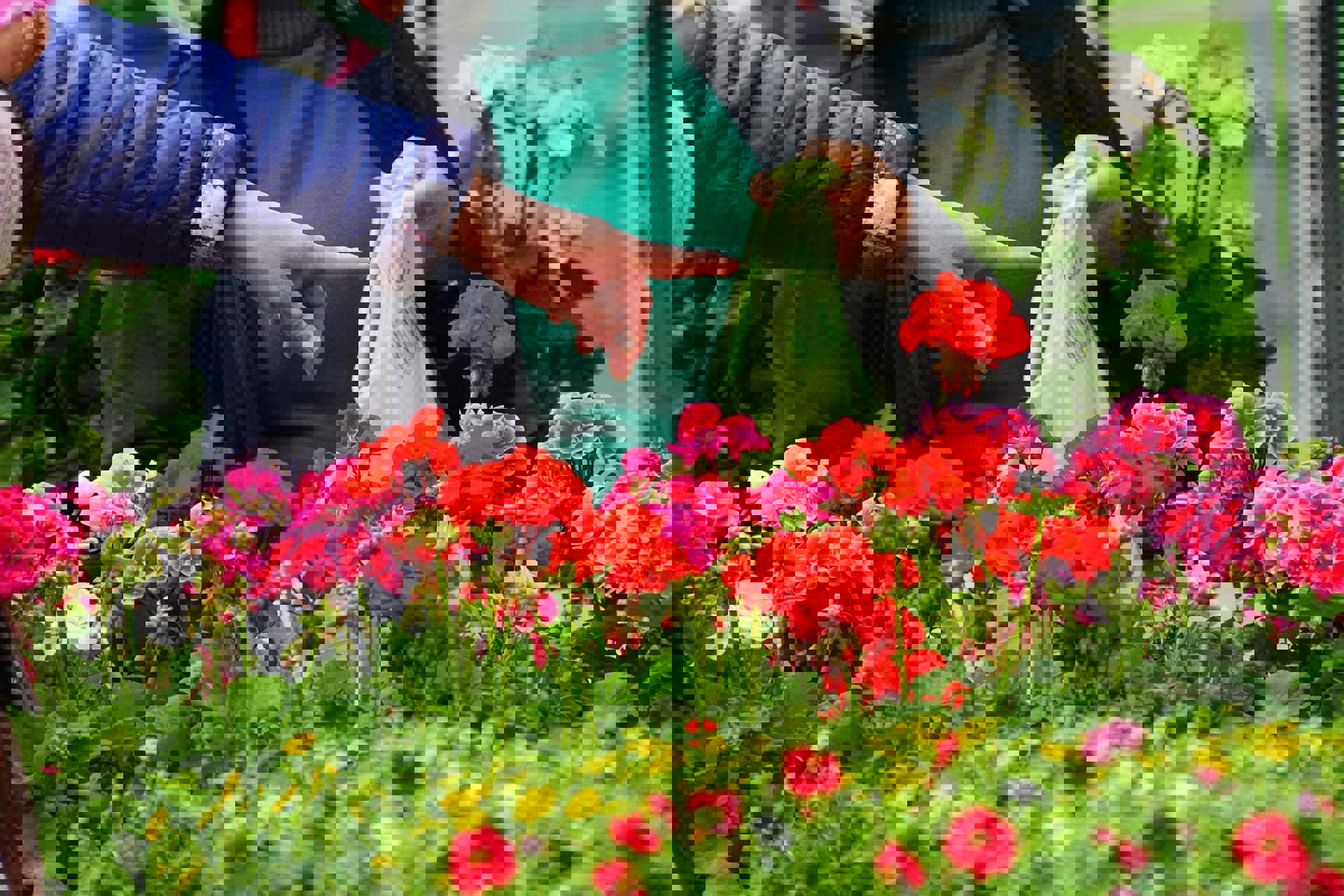 Mercato di fiori in Alto Adige Mercato di fiori in Alto Adige