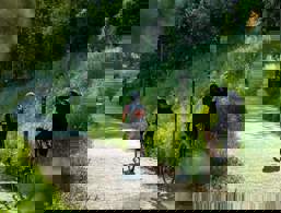Mincio Cycleway