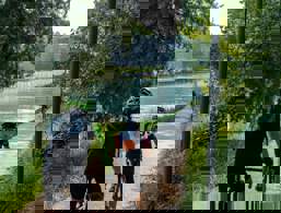Mincio-Radweg