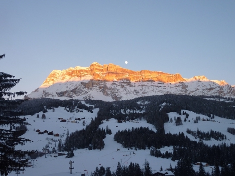 Mountain Terassen Apartment image 21