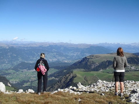 Mountain Weeks