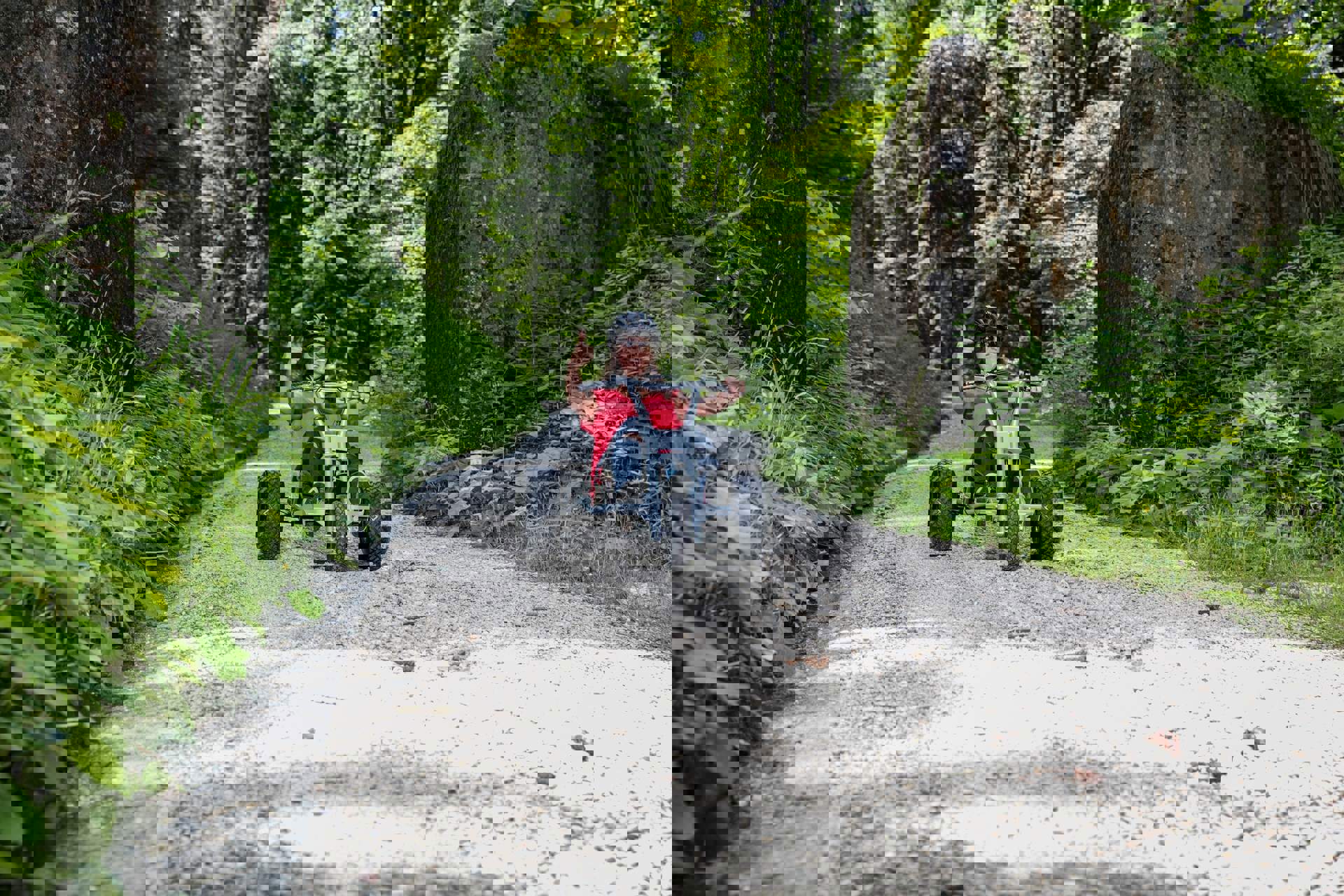 Mountaincarts in Südtirol, Verleihe & Strecken für Mountaincarts