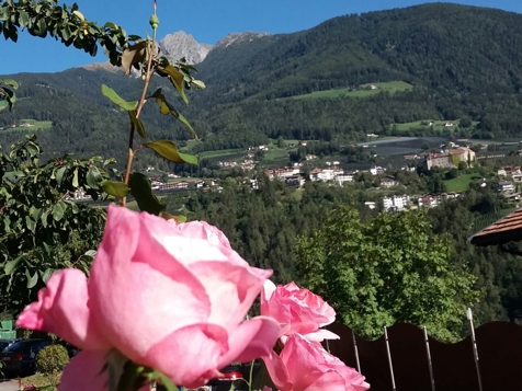 NEU 2022: APFELCHALET FELDHOF image 2