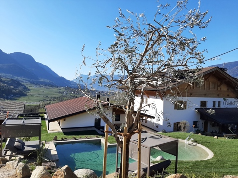 NEU AB DEZEMBER 2025: SAUNA IM APFELCHALET FELDHOF image 23