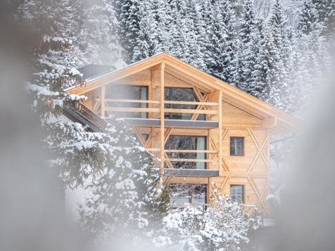 NEU SEIT DEZEMBER 2024 image 24