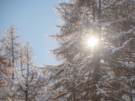 Neue Ferienwohnungen image 28