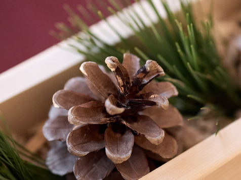 Nr. 24 Double Room with Balcony image 9