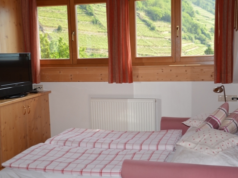 Panorama Appartement Schloss Tirol image 5