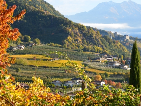 Panorama Appartement Schloss Tirol image 8