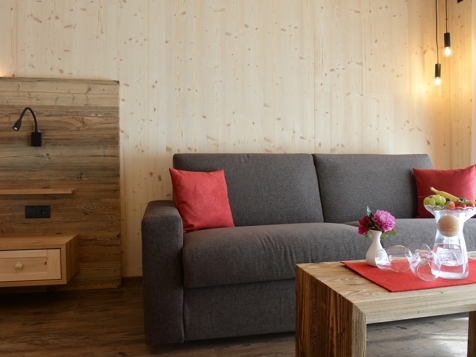 Panorama Suite (42m²) image 2
