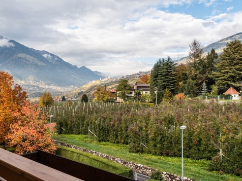 Panorama Suite image 4