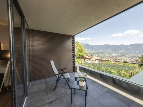 Panorama Suite Vitis-4