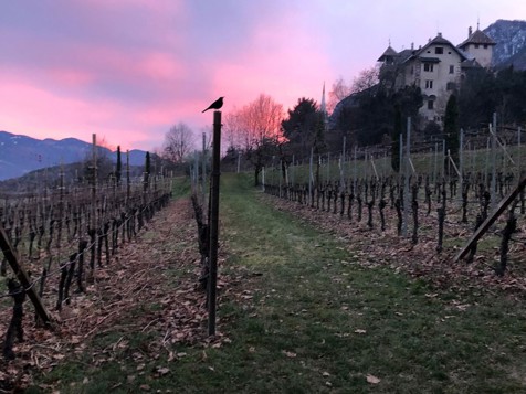 Panoramablick image 12