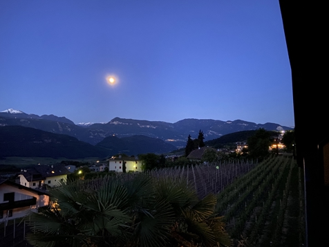 Panoramablick image 2