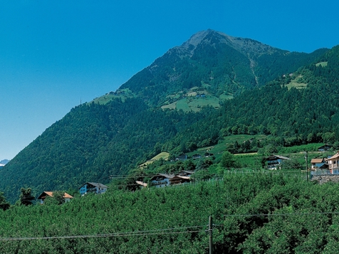 Panoramasuite Brunnenburg image 1