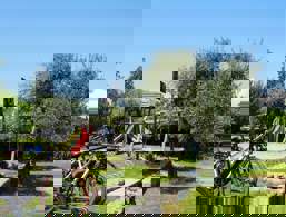 Parco giochi a San Felice del Benaco