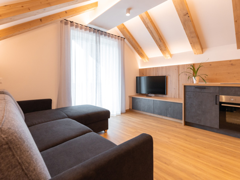 Penthouse Apartment image 5