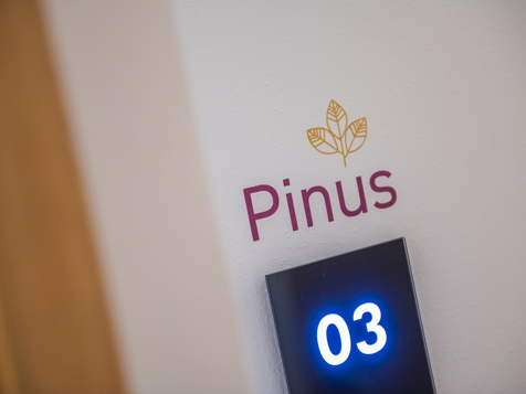 PINUS image 10