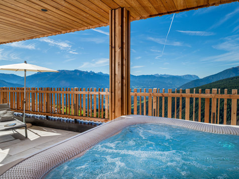 Pool Chalet Sky image 4