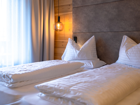 Premium Doppelzimmer/ Appartment ALpaisc image 16