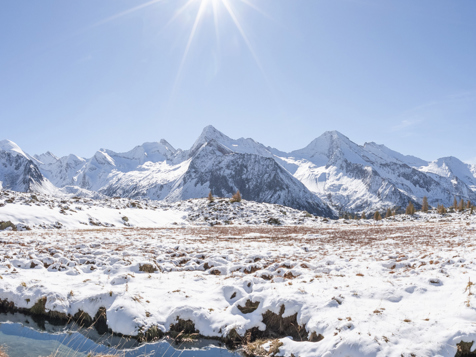 Premium Zimmer image 1