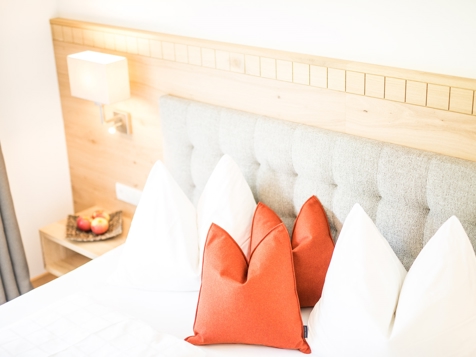 Room Alpin-Sonnblick Superior image 3