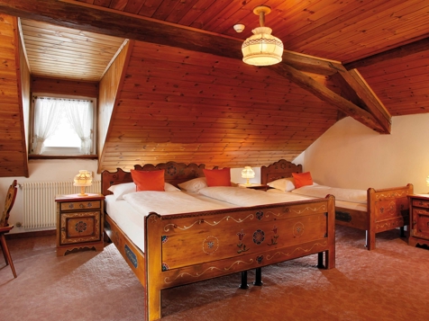 Room attic (18-22m²) image 1