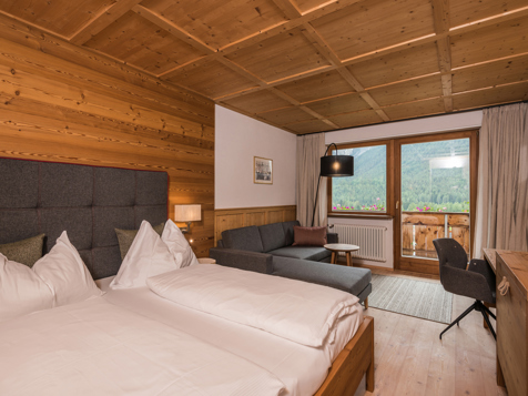 Double room Dolomites of Sesto 360° View