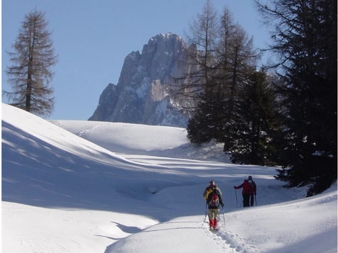 Schneeschuhwandern