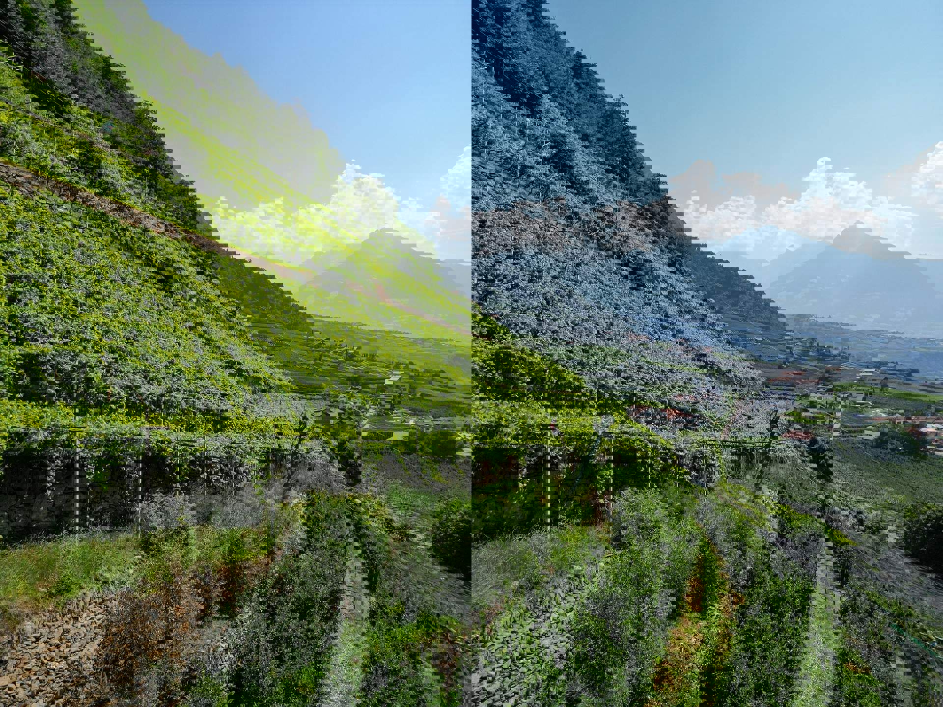 Sessellift von Mitterplars nach Vellau Sessellift von Mitterplars nach Vellau