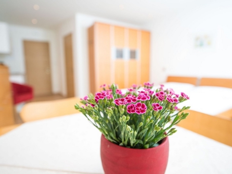 Single-Room-Apartment for 2 to 3 person image 5