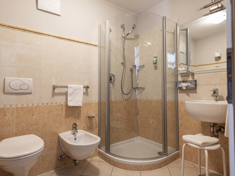 Single room Cima Nove Superior image 3