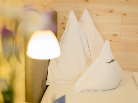 single room image 3