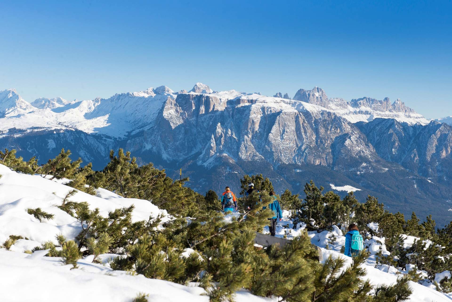 Skigebiet Rittner Horn, Skifahren und Skiurlaub in Südtirol
