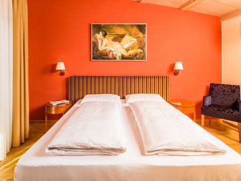 Standard Double Comfort image 4