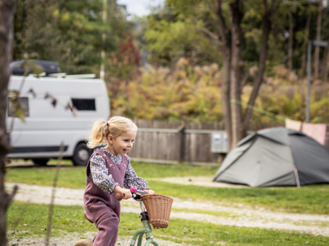 Standard Pitch Camping image 1