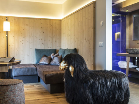 Studio ALPIN Mountain image 2