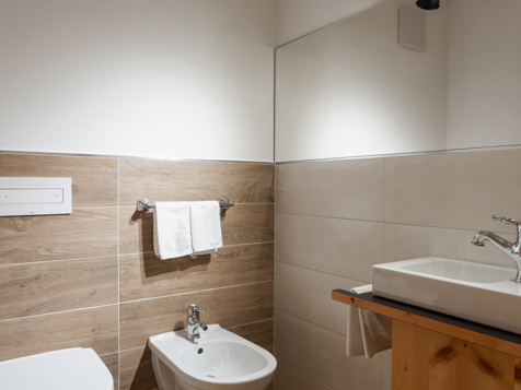 Suite Alpen SPA image 6