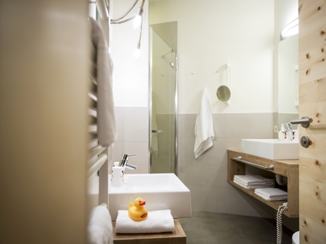 Suite Arnika image 4