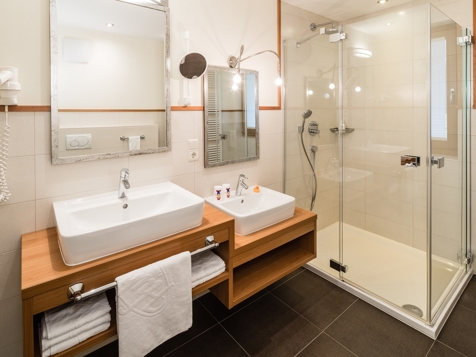 Suite Silberdistel image 3
