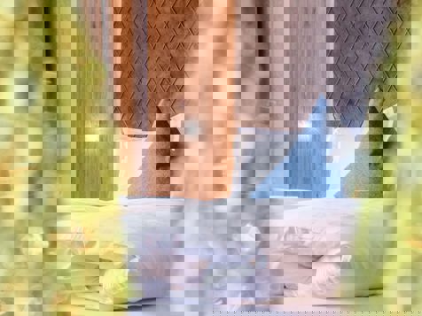 SUITE SUEDTIROL FAMILY image 3